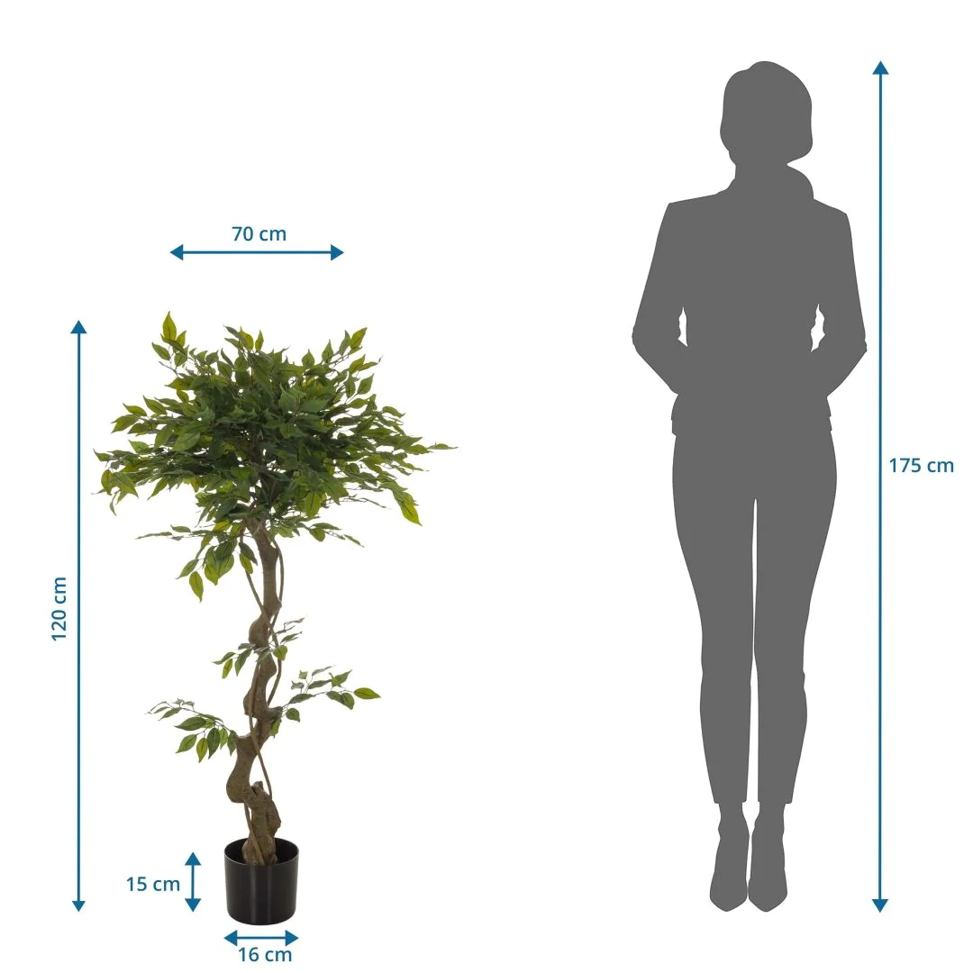 Kunstpflanze FICUS I von HJH - Produktbild 6 von 6