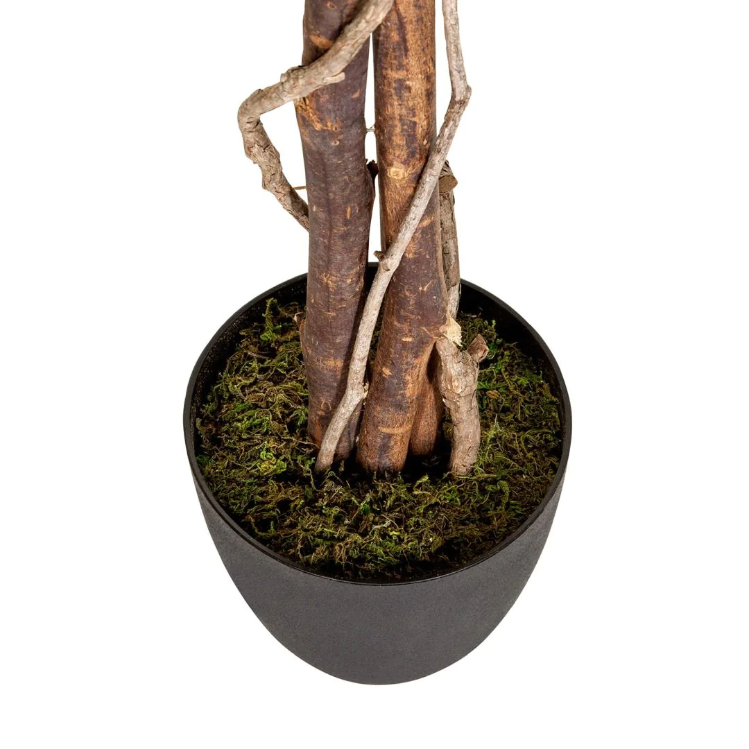Kunstpflanze FICUS von HJH - Produktbild 2 von 8