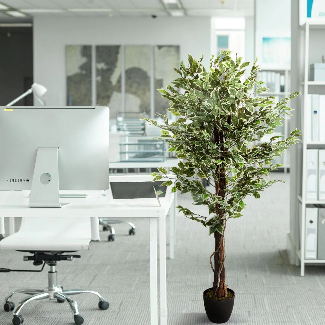 Kunstpflanze FICUS von HJH - Produktbild 5 von 8