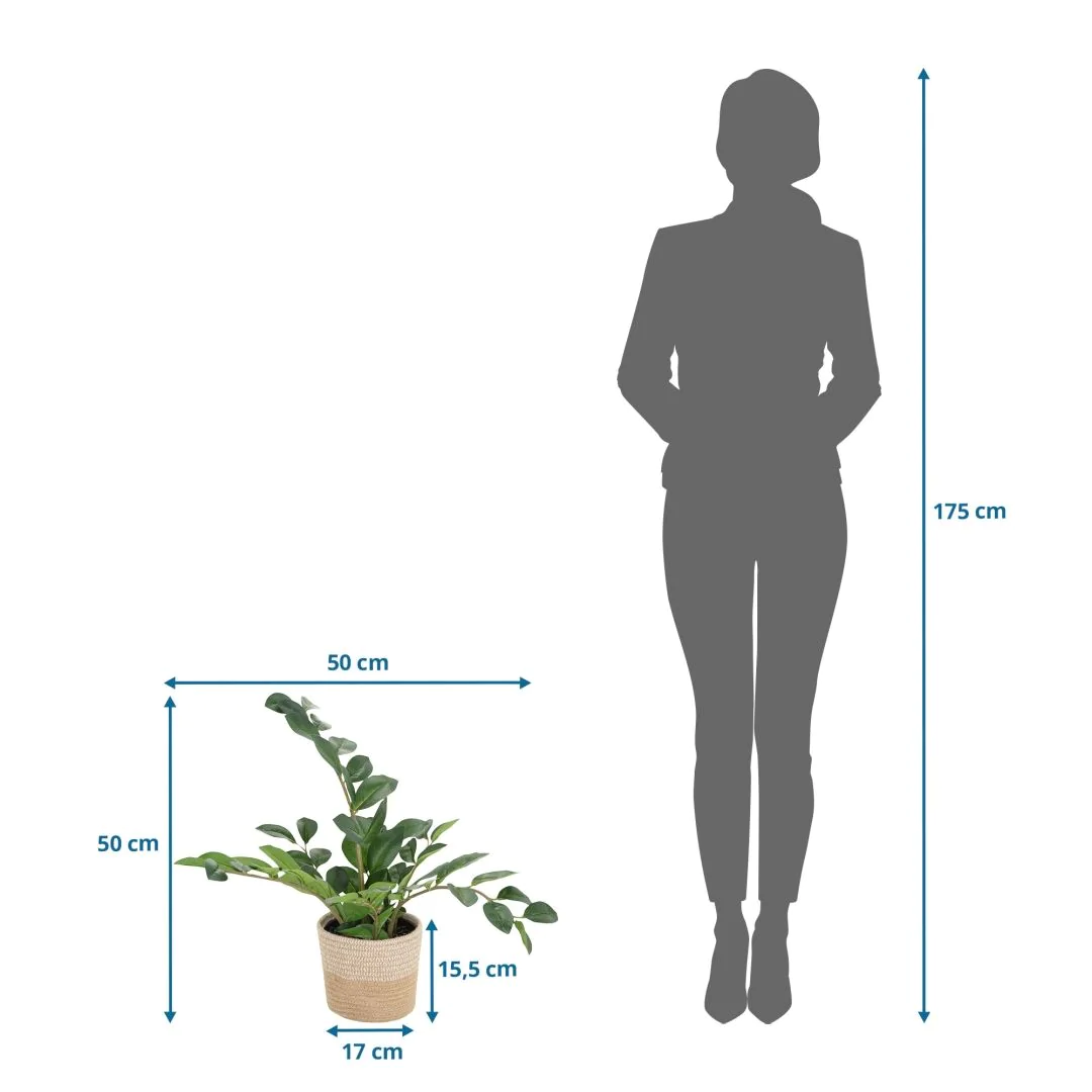 Kunstpflanze ZAMIE von HJH - Produktbild 6 von 6