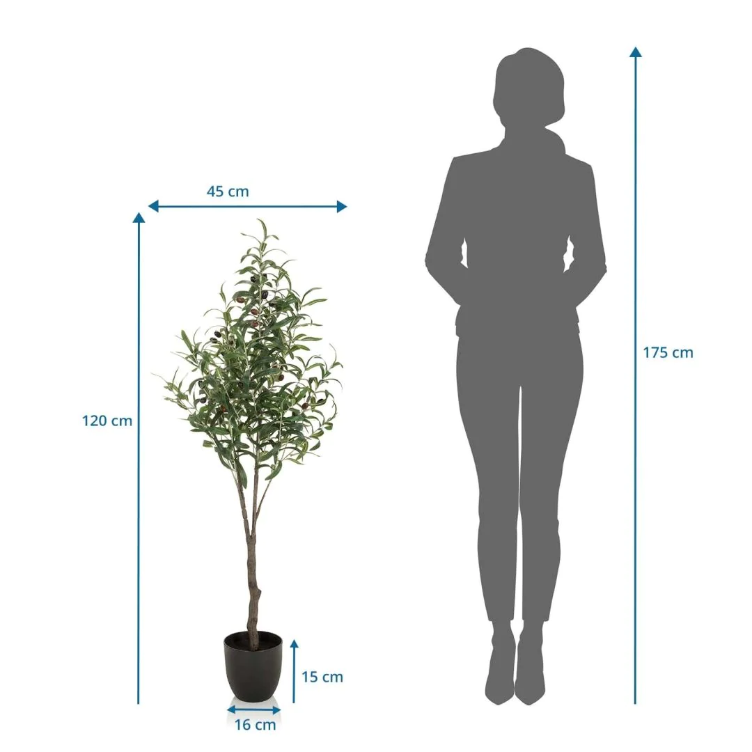 Kunstpflanze OLIVE von HJH - Produktbild 6 von 6
