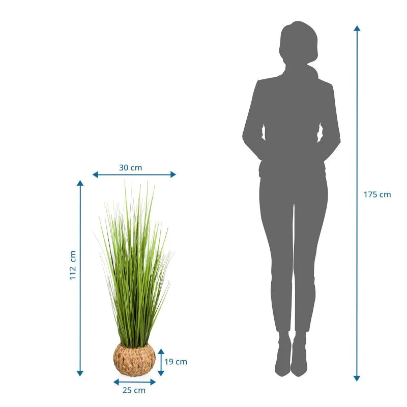 Kunstpflanze CORTADERIA von HJH - Produktbild 4 von 4