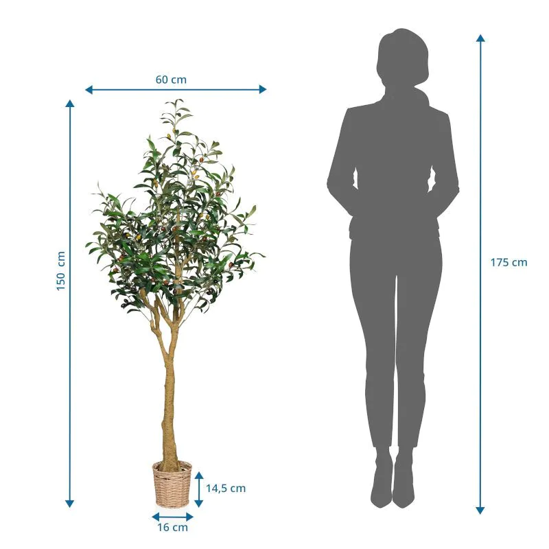 Kunstpflanze OLIVE II von HJH - Produktbild 6 von 6