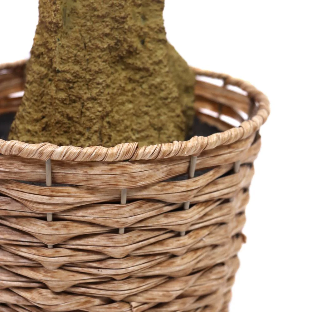 Kunstpflanze OLIVE II von HJH - Produktbild 3 von 6