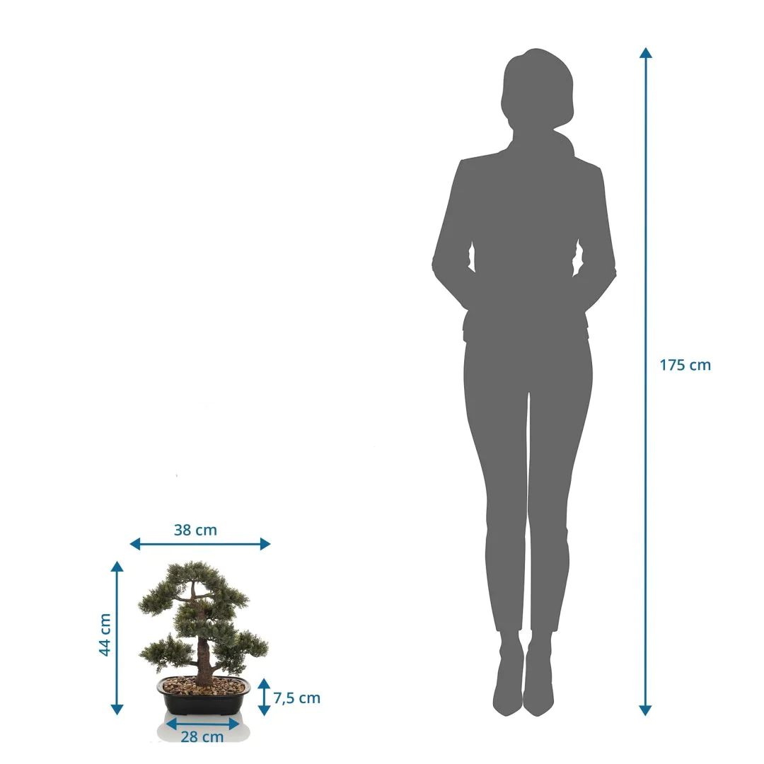 Kunstpflanze BONSAI von HJH - Produktbild 4 von 5