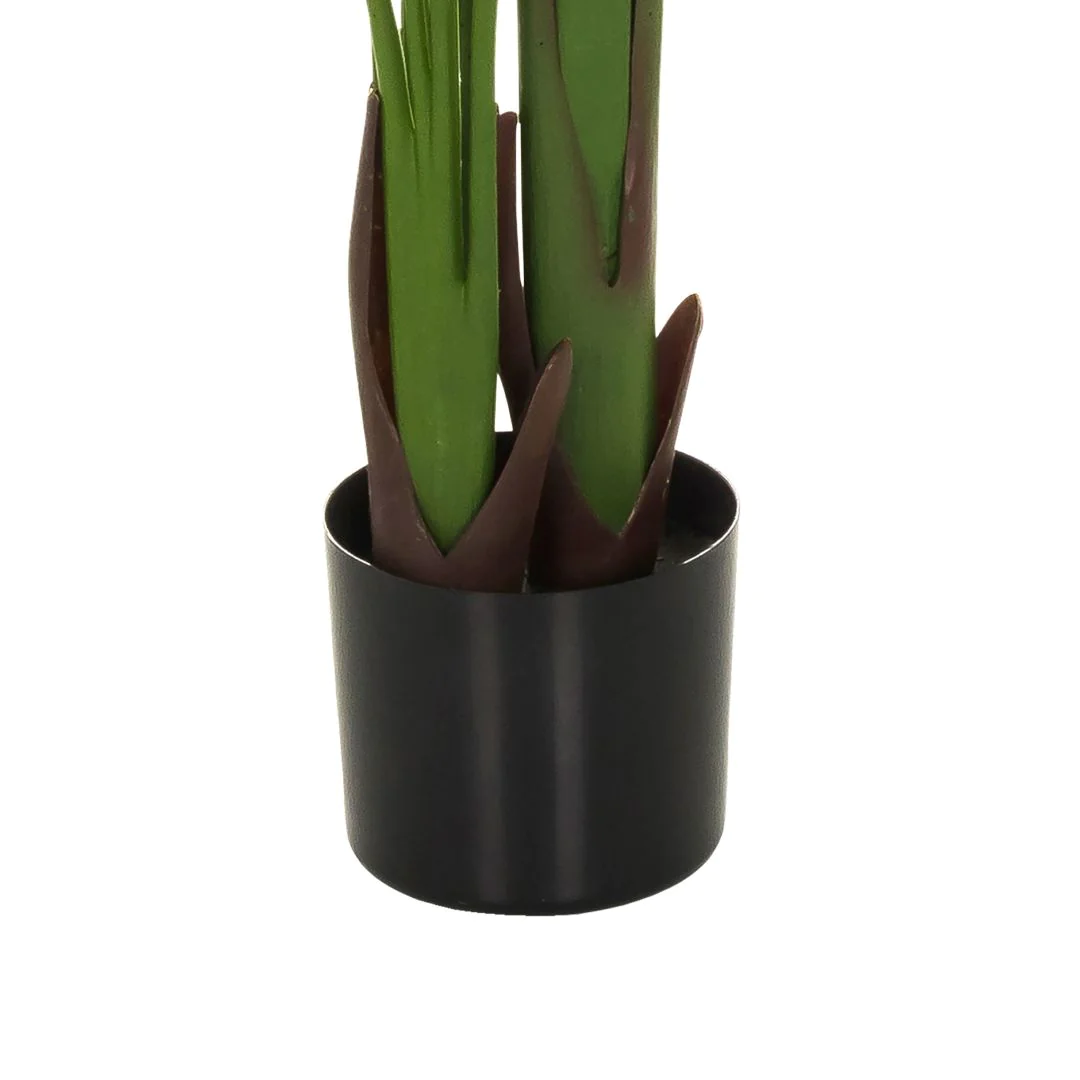 Kunstpflanze BANANE von HJH - Produktbild 3 von 6