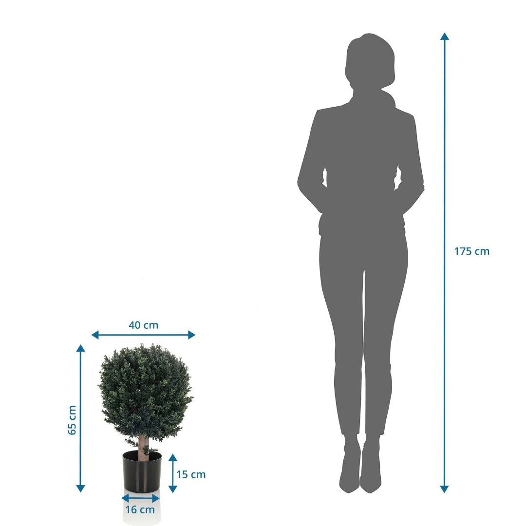 Kunstpflanze BUXUS von HJH - Produktbild 6 von 6