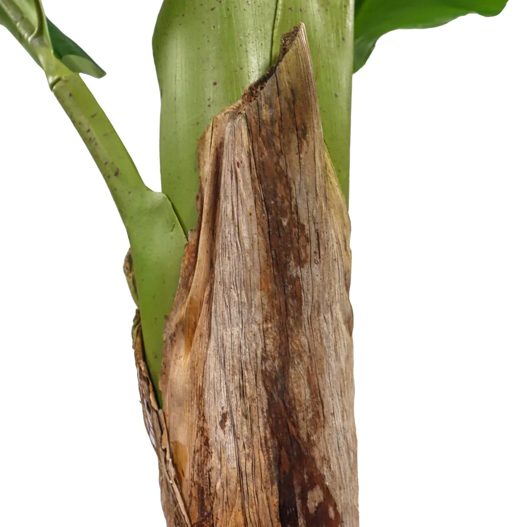Kunstpflanze BANANE I von HJH - Produktbild 3 von 7