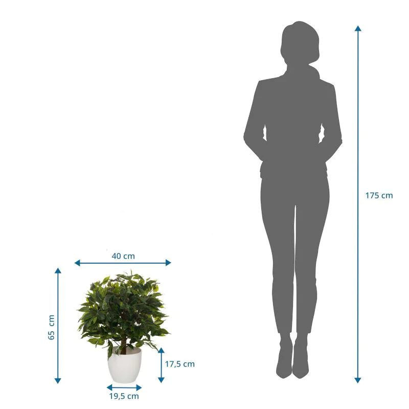 Kunstpflanze FICUS II von HJH - Produktbild 7 von 7