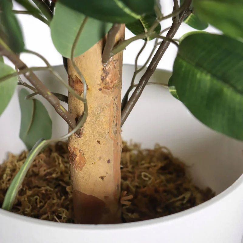Kunstpflanze FICUS II von HJH - Produktbild 3 von 7