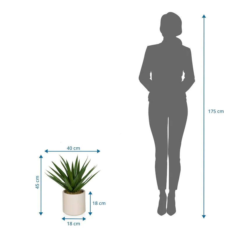 Kunstpflanze Agave von HJH - Produktbild 5 von 5