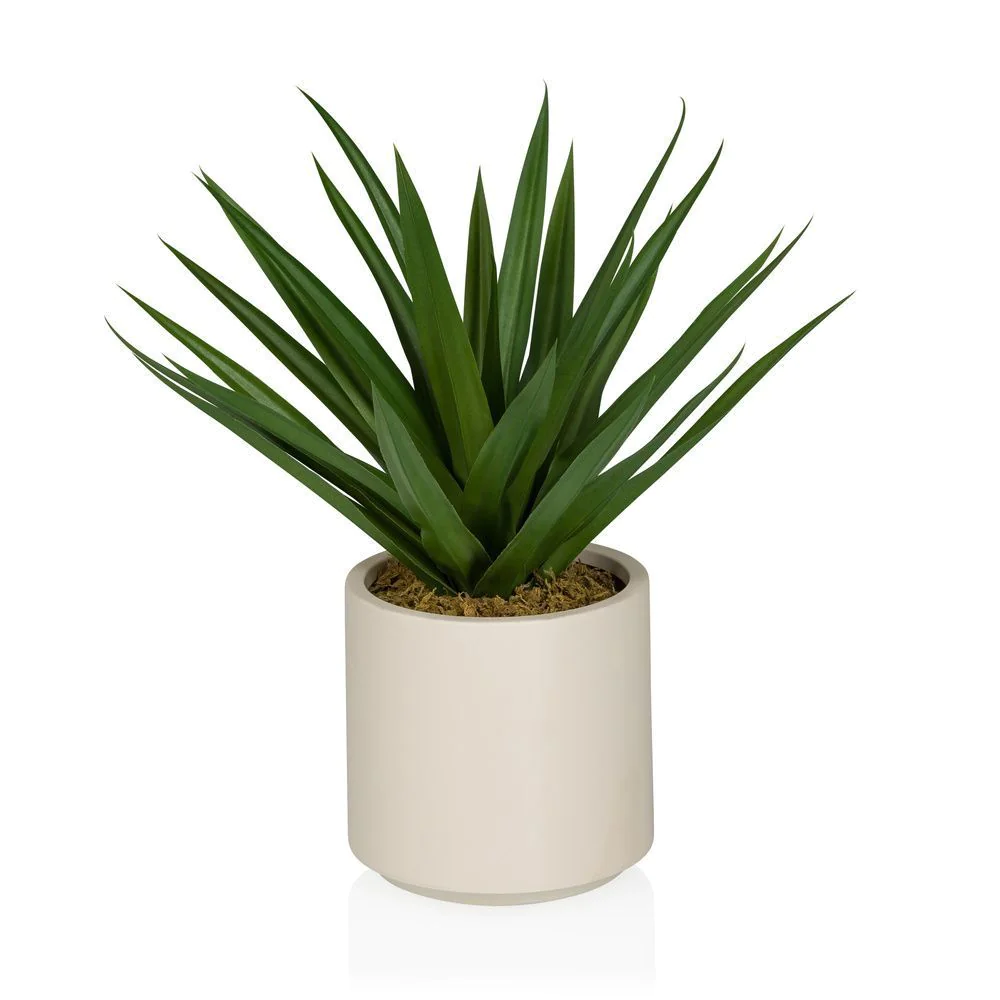 Kunstpflanze Agave - HJH-871064