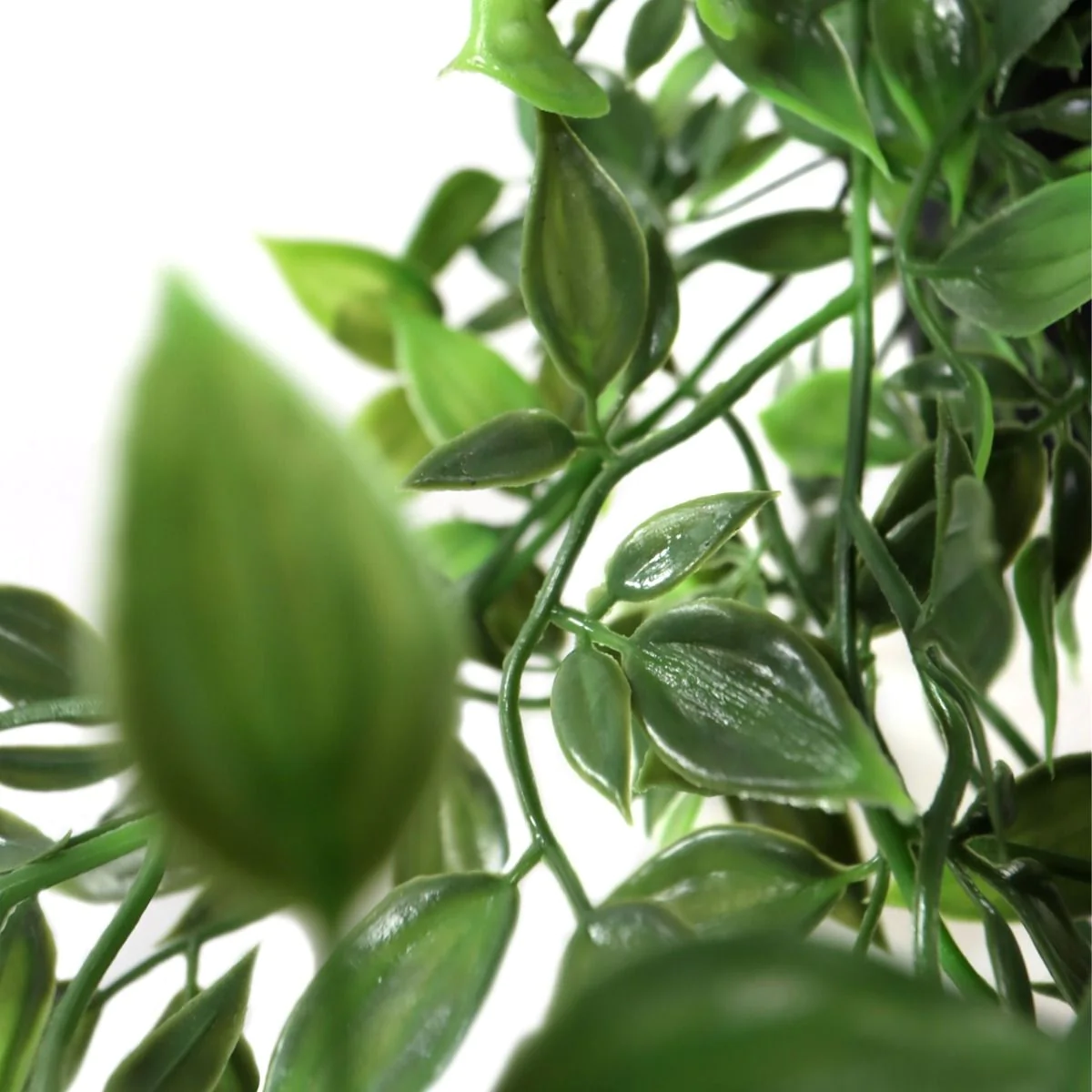 Kunstpflanze Epipremnum Climb von HJH - Produktbild 4 von 5