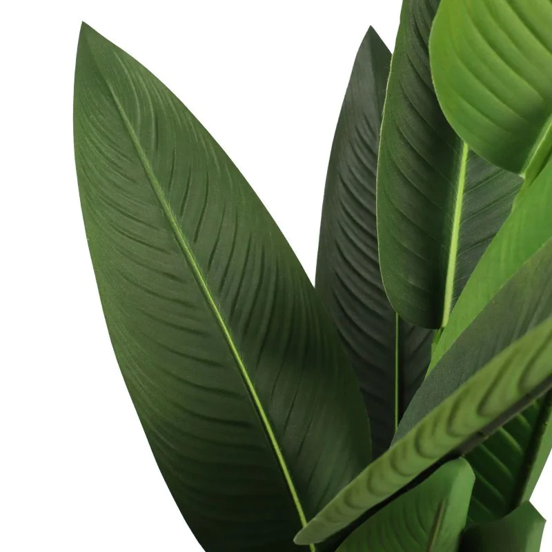 Kunstpflanze STRELITZIA von HJH - Produktbild 2 von 5