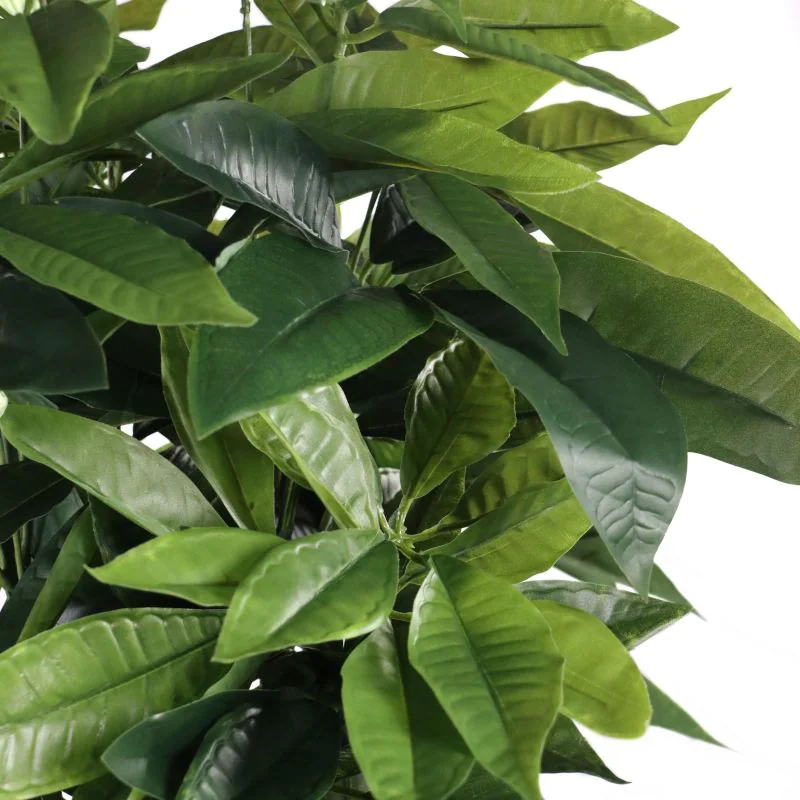 Kunstpflanze PACHIRA von HJH - Produktbild 2 von 5