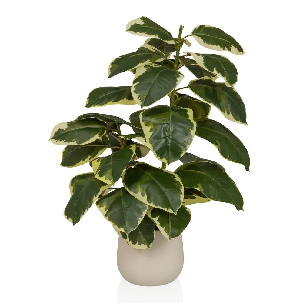 Kunstpflanze Ficus - HJH-872008