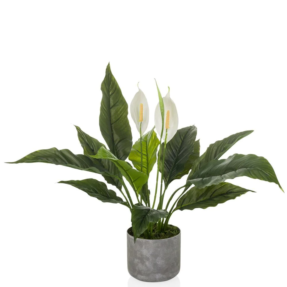 Kunstpflanze Spathiphyllum - HJH-872010
