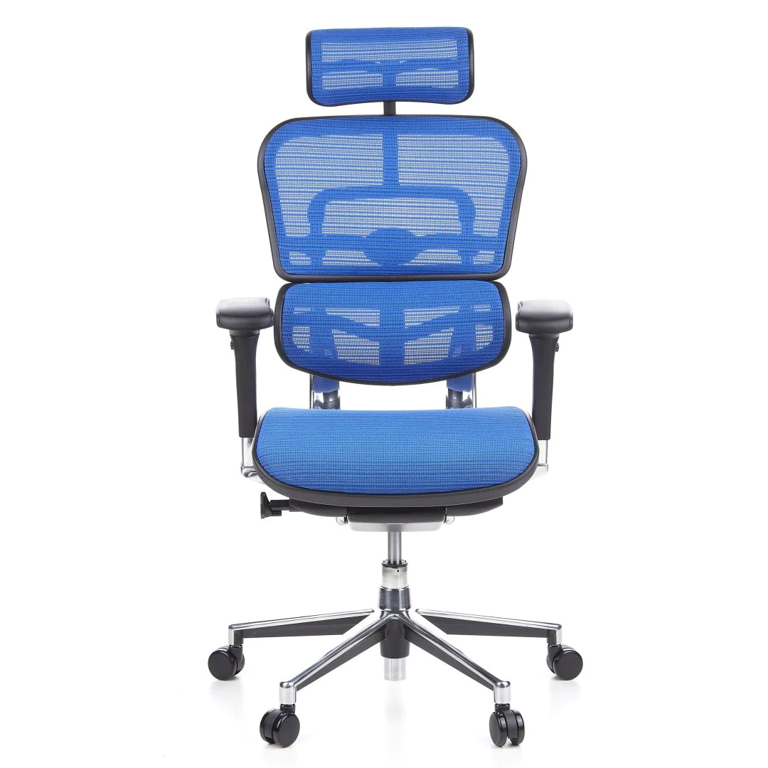 Bürostuhl Chefsessel ERGOHUMAN Netzstoff blau - hjh-652150