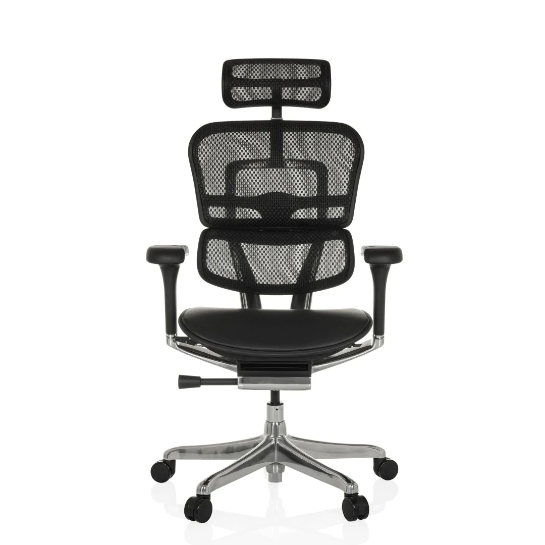 Bürostuhl Chefsessel ERGOHUMAN GEN2 Sitz Leder Rücken Netz schwarz von HJH - Produktbild 1 von 8