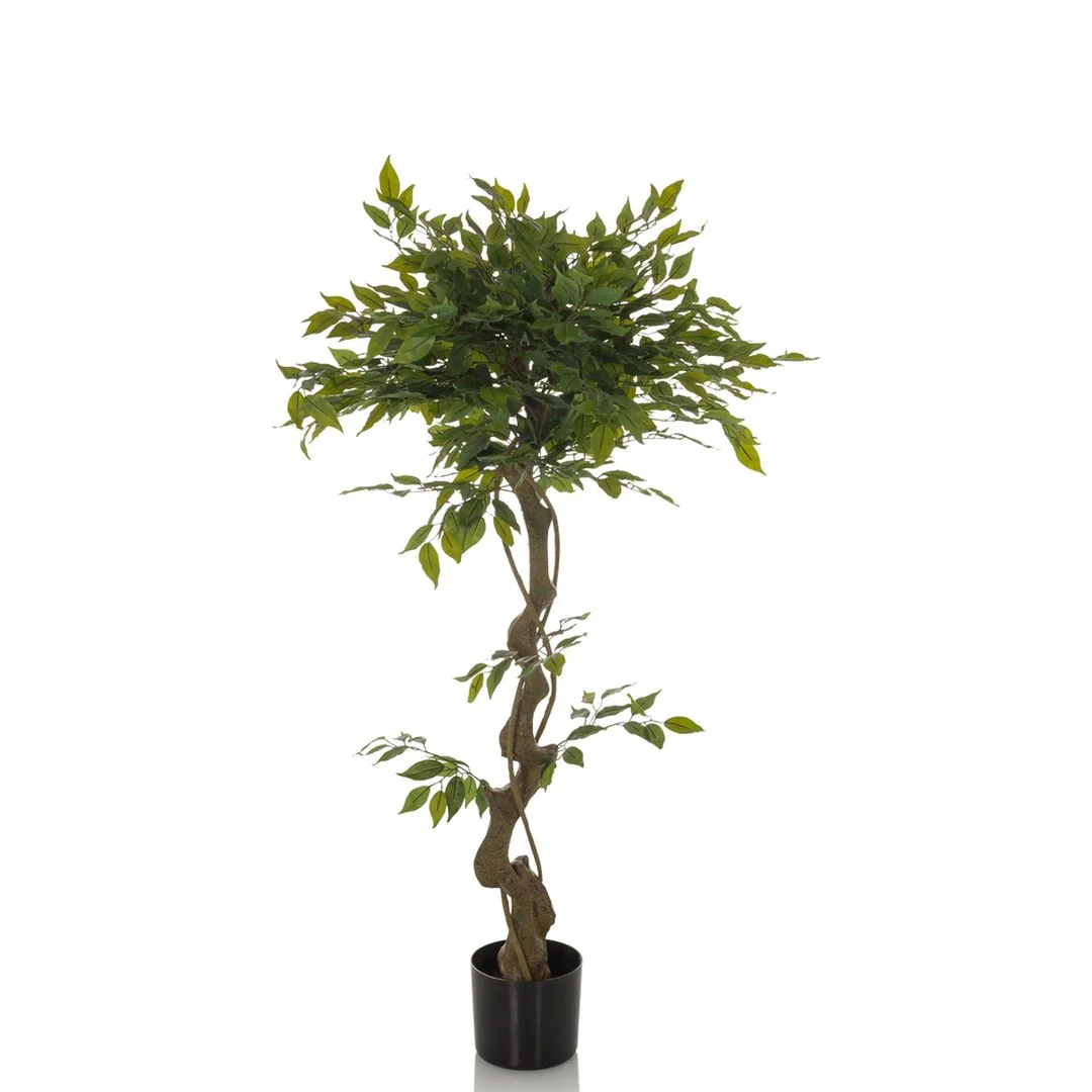 Kunstpflanze FICUS I - HJH-871057