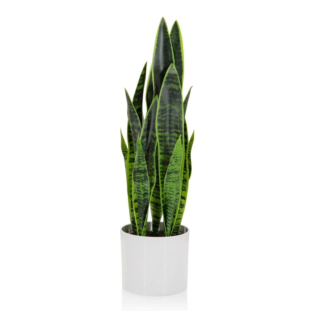 Kunstpflanze SANSEVIERIA - HJH-871016