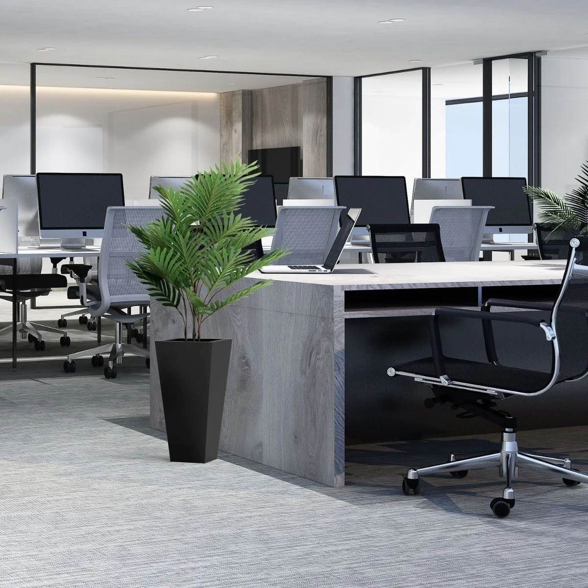 Kunstpflanze ARECA von HJH - Produktbild 3 von 4